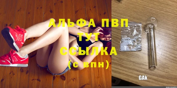 ешки Санкт-Петербург